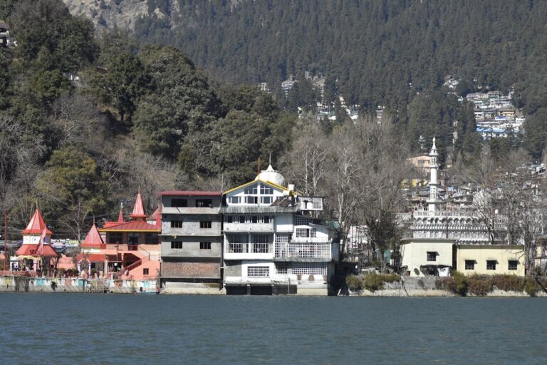 pexels-iamwanderingkhan-29870625